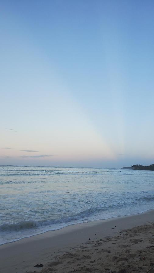 Yes Papa! Rooms Only 100M From The Beach! Las Galeras Eksteriør bilde