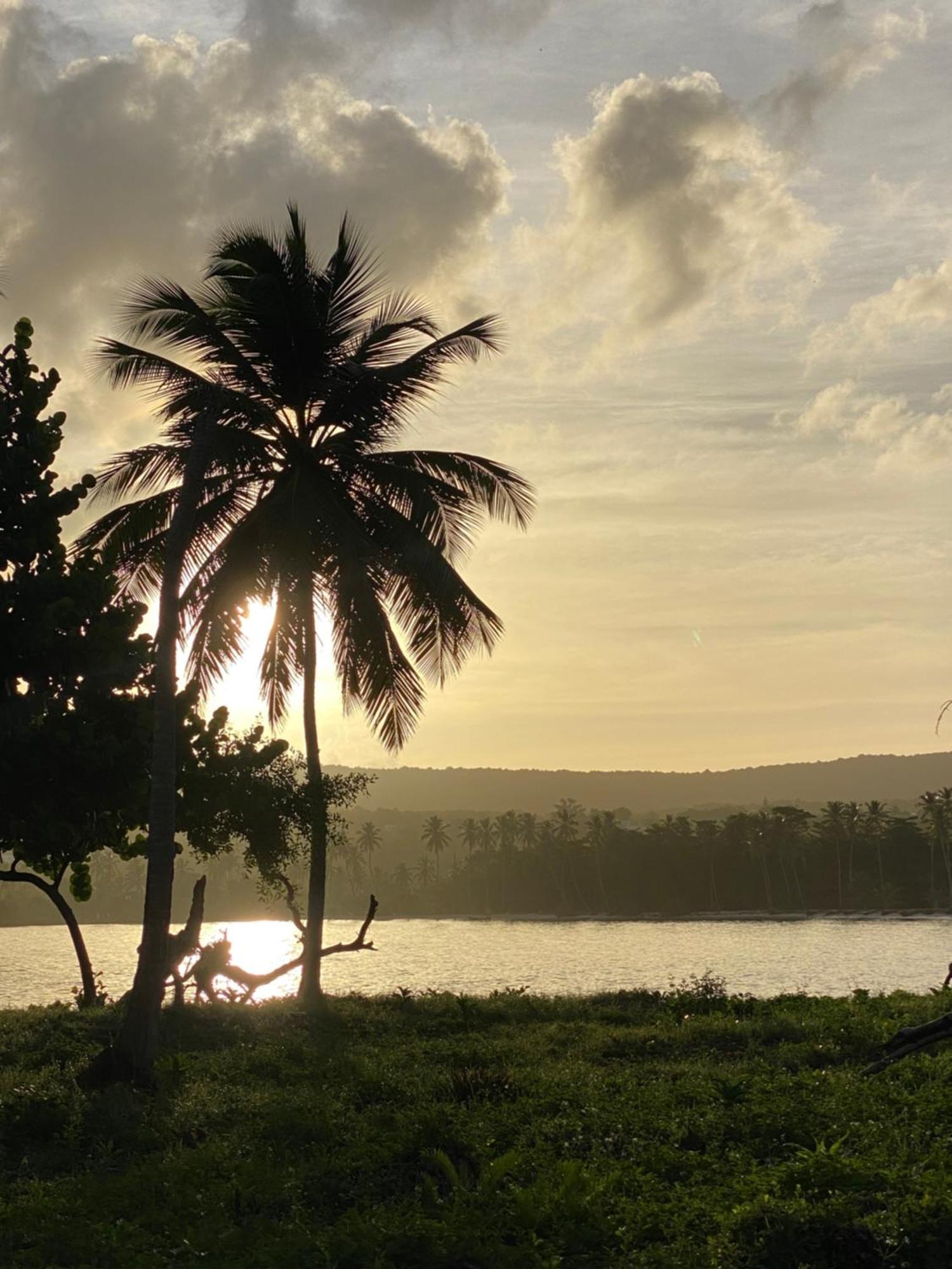 Yes Papa! Rooms Only 100M From The Beach! Las Galeras Eksteriør bilde