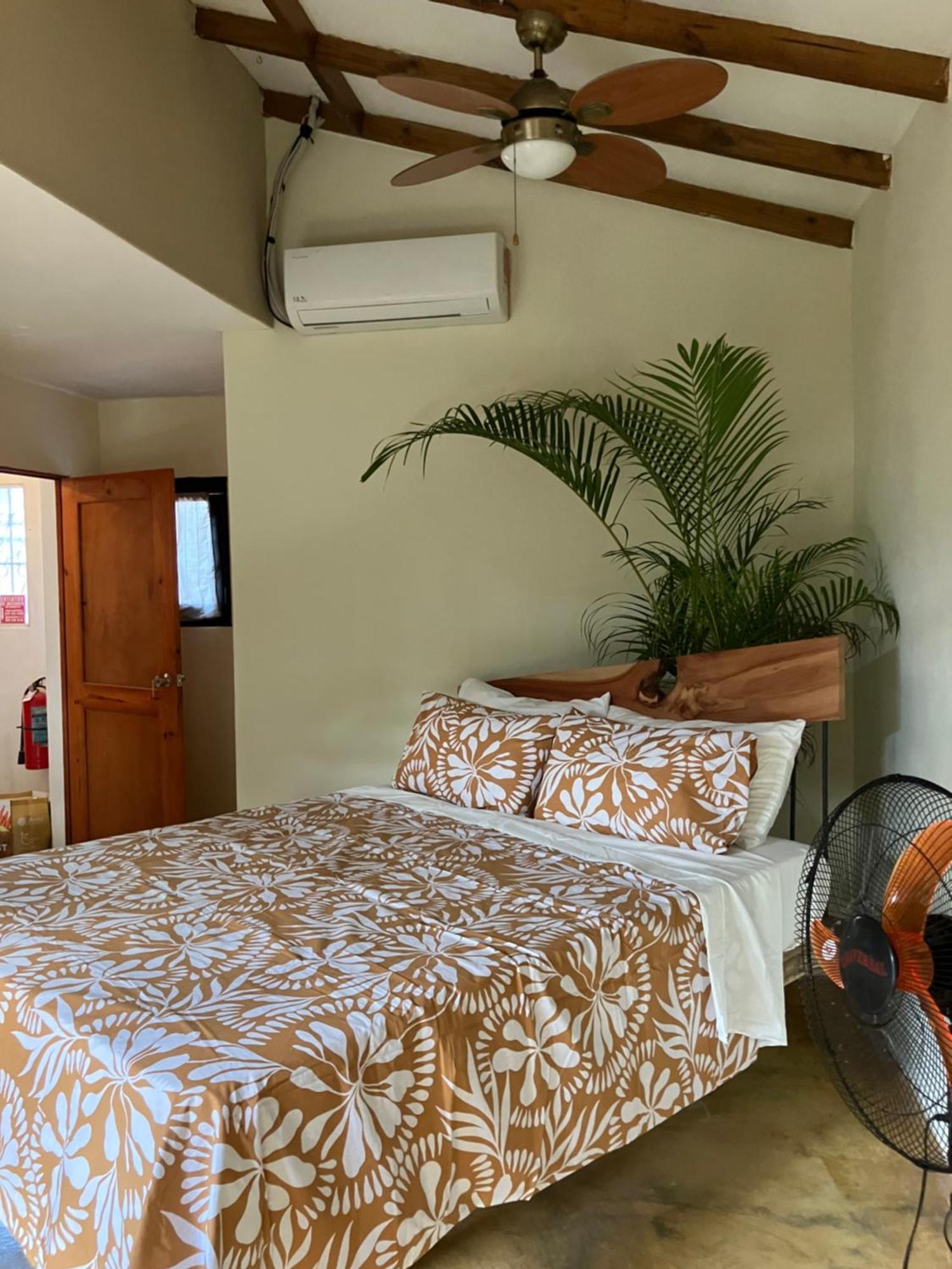 Yes Papa! Rooms Only 100M From The Beach! Las Galeras Eksteriør bilde